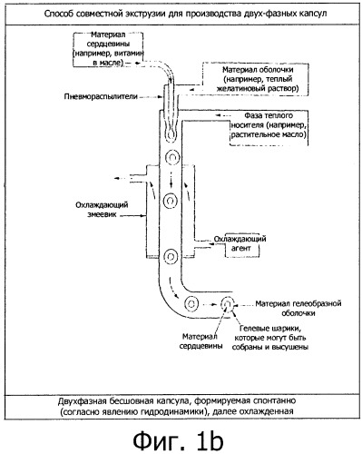 Геллановая бесшовная, способная к механическому разрушению капсула и способ ее получения (патент 2428971)