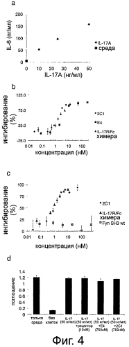 Новые il-17-связывающие соединения и их медицинское применение (патент 2550272)