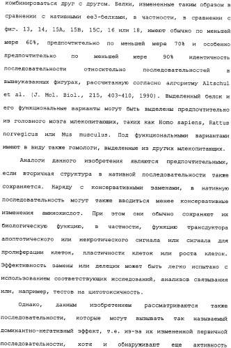 Ее3-семейство белков и соответствующие днк-последовательности (патент 2333918)