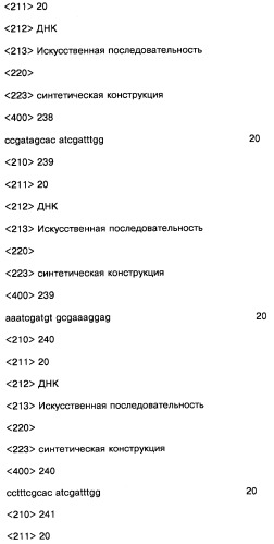 Соединение, содержащее кодирующий олигонуклеотид, способ его получения, библиотека соединений, способ ее получения, способ идентификации соединения, связывающегося с биологической мишенью (варианты) (патент 2459869)