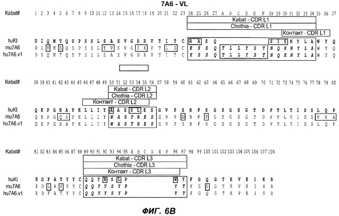 Апоптотические антитела против ige (патент 2500686)