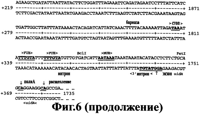 Молекулярный контроль сегрегации трансгенов и их утечки с использованием системы возмещаемого блокирования функции (патент 2270866)