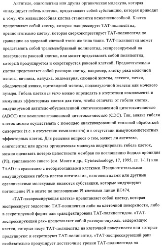 Композиции и способы диагностики и лечения опухоли (патент 2430112)