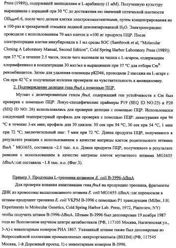 Способ получения l-треонина с использованием бактерии, принадлежащей к роду escherichia, в которой инактивирован ген fhua (патент 2333955)
