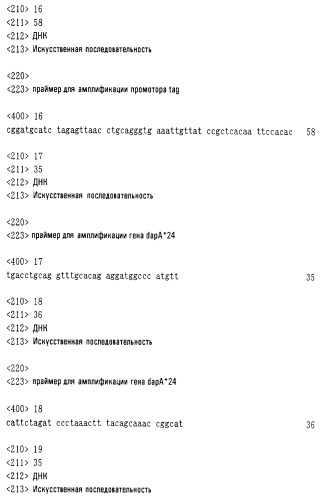 Бактерия, продуцирующая l-аминокислоту, и способ получения l-аминокислоты (патент 2351653)