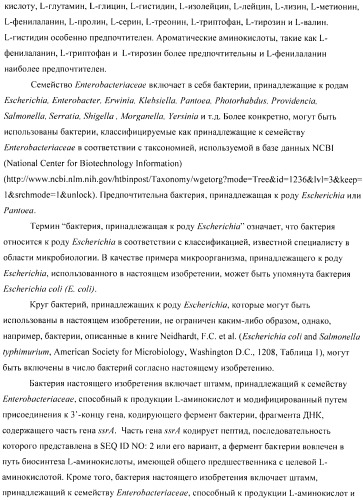 Способ получения аминокислот с использованием бактерии, принадлежащей к роду escherichia (патент 2396336)