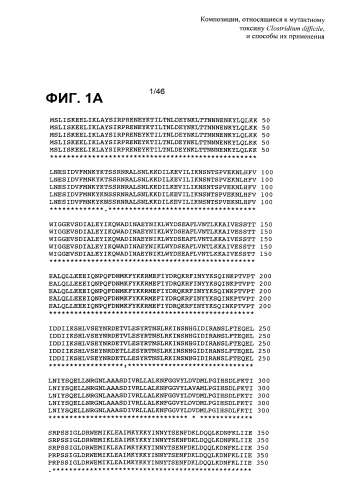 Композиции, относящиеся к мутантному токсину clostridium difficile, и способы их применения (патент 2592686)