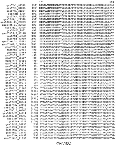 Мутантные антигены gas57 и антитела против gas57 (патент 2471497)