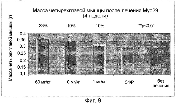 Нейтрализующие антитела против gdf-8 и их применение (патент 2360925)