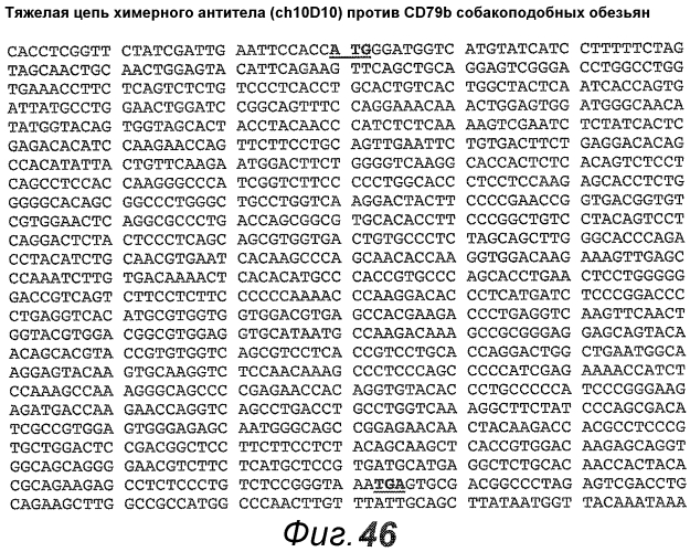 Анти-cd79b антитела и иммуноконъюгаты и способы их применения (патент 2553566)