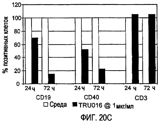 Снижение количества в-клеток с использованием cd37-специфических и cd20-специфических связывающих молекул (патент 2423381)