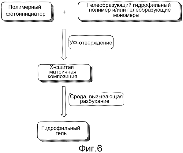 Гидрофильные гели из фотоинициаторов на основе полиалкиловых эфиров (патент 2586558)