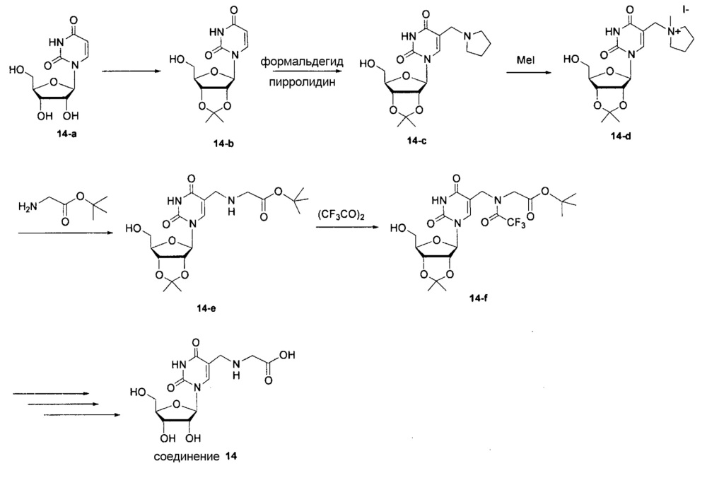Модифицированные нуклеозиды, нуклеотиды и нуклеиновые кислоты и их применение (патент 2648950)