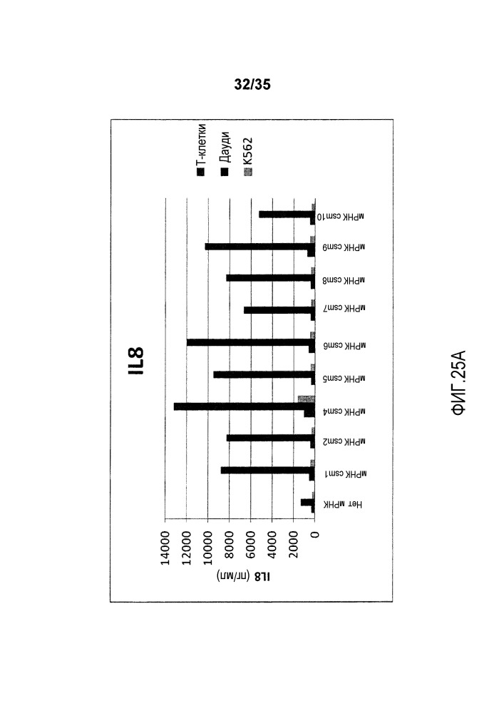 Многоцепочечный химерный антигенный рецептор и его применения (патент 2663725)