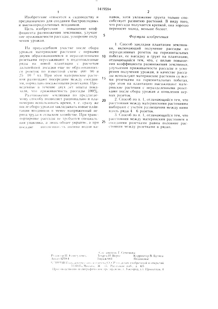 Способ закладки плантации земляники (патент 1419594)