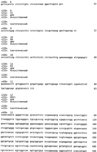 Синтетические 5 utr (нетранслируемые области), экспрессионные векторы и способ повышения трансгенной экспрессии (патент 2524431)