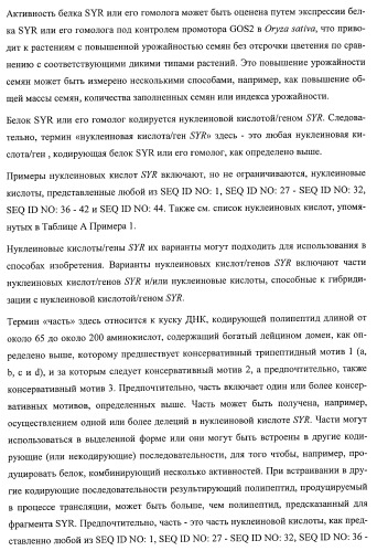 Растения, имеющие улучшенные характеристики роста, и способы их получения (патент 2463352)