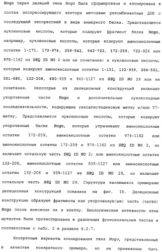 Поликлональное антитело против nogo, фармацевтическая композиция и применение антитела для изготовления лекарственного средства (патент 2432364)