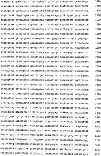 Бактериофаг, обладающий активностью против pseudomonas aeruginosa, белки бактериофага и способы их применения (патент 2580248)
