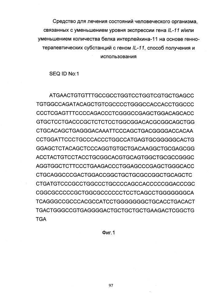 Средство для лечения состояний человеческого организма, связанных с уменьшением уровня экспрессии гена il-11 и/или уменьшением количества белка интерлейкина-11 на основе генно-терапевтических субстанций с геном il-11, способ получения и использования (патент 2651048)