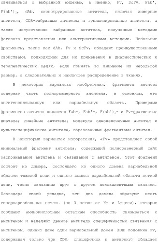Антитела против вируса гепатита с (патент 2462475)