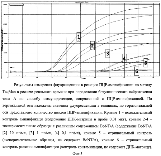 Способ определения ботулинического нейротоксина типа а на основе иммунодетекции, сопряженной с полимеразной цепной реакцией (патент 2549463)