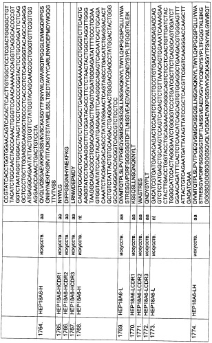 Pscaxcd3, cd19xcd3, c-metxcd3, эндосиалинxcd3, epcamxcd3, igf-1rxcd3 или fap-альфаxcd3 биспецифическое одноцепочечное антитело с межвидовой специфичностью (патент 2547600)