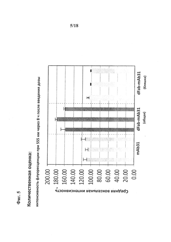 Шаттл для гематоэнцефалического барьера (патент 2663120)