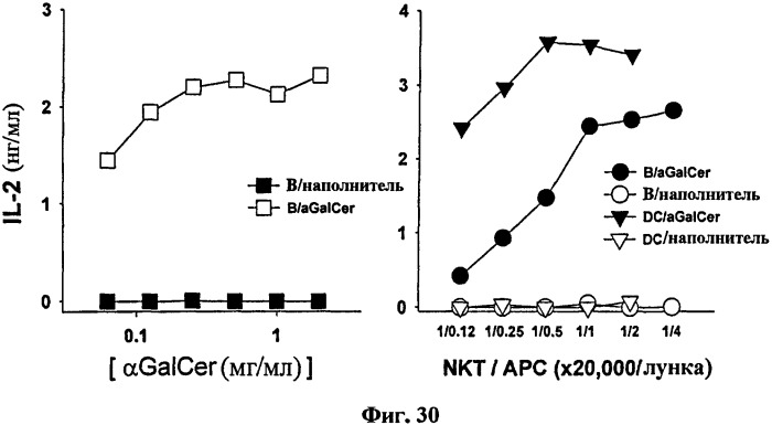 Вакцина на основе в-клеток, нагруженных лигандом т-клеток-природных киллеров и антигеном (патент 2420311)