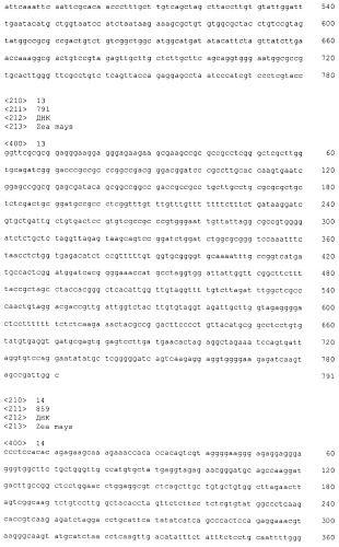 Понижающая регуляция экспрессии гена с помощью искусственных микрорнк (патент 2492239)