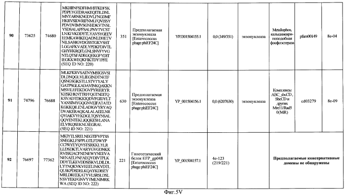 Бактериофаг, обладающий активностью против pseudomonas aeruginosa, белки бактериофага и способы их применения (патент 2580248)