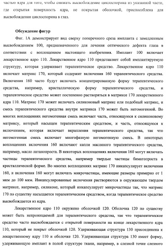 Лекарственные ядра для замедленного высвобождения терапевтических средств (патент 2478366)