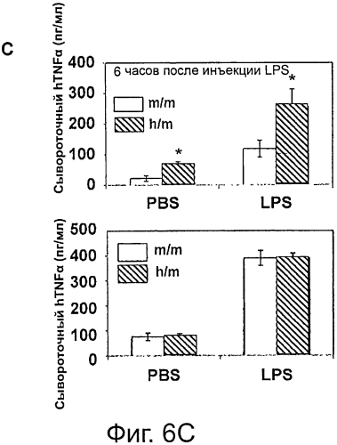 Гуманизированные m-csf мыши (патент 2577978)