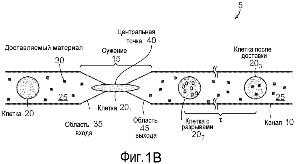 Внутриклеточная доставка (патент 2656156)