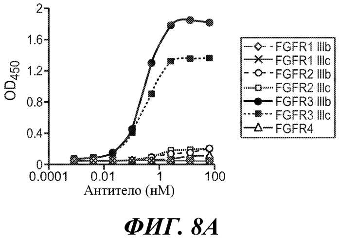 Антитела против fgfr3 и способы их применения (патент 2568066)
