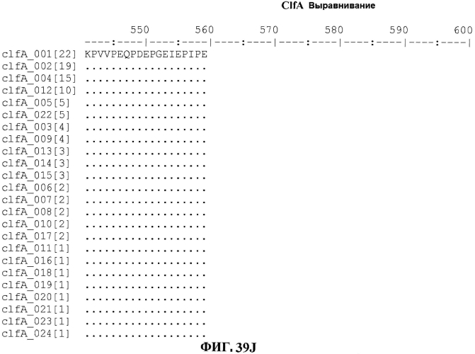 Стабильные иммуногенные композиции антигенов staphylococcus aureus (патент 2570730)