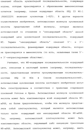 Гены corynebacterium glutamicum, кодирующие белки метаболических путей (патент 2306339)