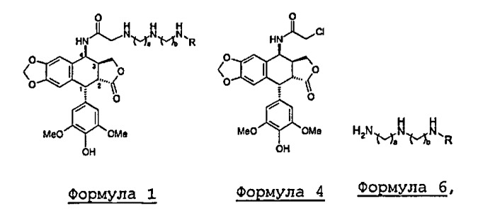 Способ синтеза противораковых производных (поли)аминоалкиламиноацетамида эпиподофиллотоксина (патент 2450009)