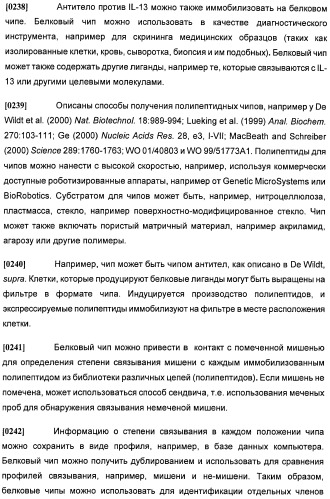 Антитела против интерлейкина-13 человека и их применение (патент 2427589)