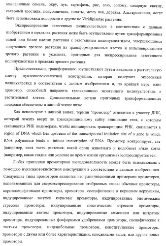 Изолированные полипептиды, кодирующие их полинуклеотиды, экспрессирующие их трансгенные растения и способы их использования (патент 2425151)