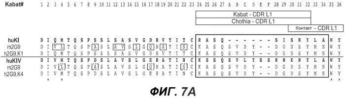 Антитела против bv8 и их применение (патент 2559542)