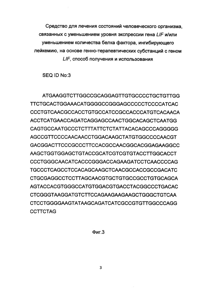 Средство для лечения состояний человеческого организма, связанных с уменьшением уровня экспрессии гена lif и/или уменьшением количества белка фактора, ингибирующего лейкемию, на основе генно-терапевтических субстанций с геном lif, способ получения и использования (патент 2653487)