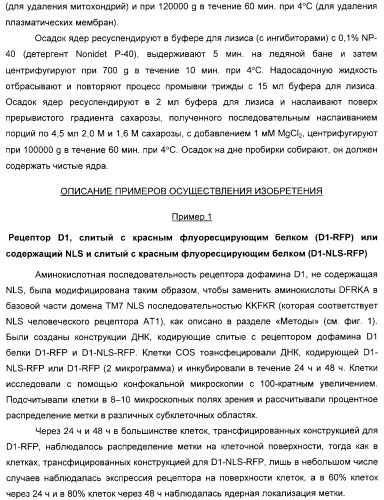 Способ идентификации соединений, взаимодействующих с трансмембранными белками (патент 2326166)