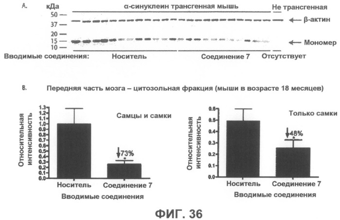 Соединения, композиции и способы, предназначенные для лечения бета-амилоидных заболеваний и синуклеинопатий (патент 2501792)