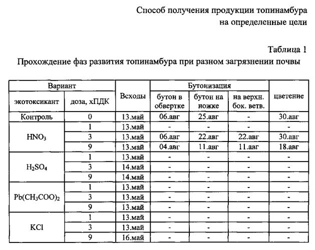 Способ получения продукции топинамбура на определенные цели (патент 2590805)