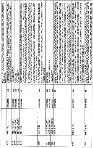 Pscaxcd3, cd19xcd3, c-metxcd3, эндосиалинxcd3, epcamxcd3, igf-1rxcd3 или fap-альфаxcd3 биспецифическое одноцепочечное антитело с межвидовой специфичностью (патент 2547600)