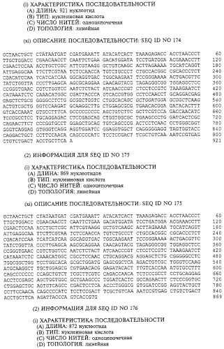 Гемопоэтический белок (варианты), последовательность днк, способ получения гемопоэтического белка, способ селективной экспансии кроветворных клеток, способ продуцирования дендритных клеток, способ стимуляции продуцирования кроветворных клеток у пациента, фармацевтическая композиция, способ лечения (патент 2245887)