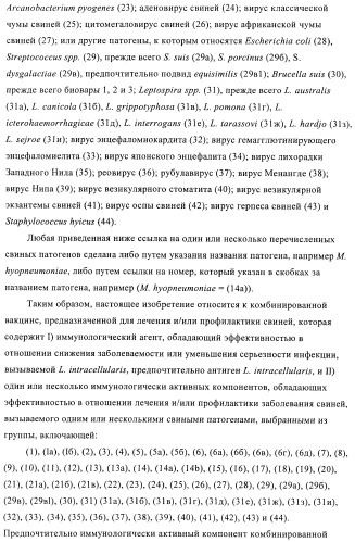 Иммуногенные композиции, содержащие lawsonia intracellularis (патент 2443430)