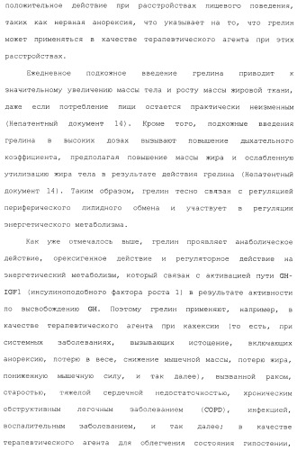 Производное 3, 8-диаминотетрагидрохинолина (патент 2482117)