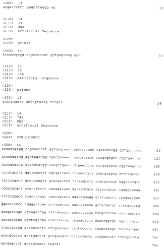 Экспрессионный плазмидный вектор моноцистронной экспрессии рекомбинантных белков в клетках млекопитающих, линия клеток млекопитающих-продуцентов рекомбинантного белка, способ получения рекомбинантного белка (патент 2552170)